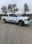 Dodge RAM Crew Cap-Big Horn/ AHK/Temp./ Ab 310 Euro im Monat Weiß - thumbnail 2