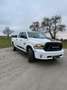Dodge RAM Crew Cap-Big Horn/ AHK/Temp./ Ab 310 Euro im Monat Weiß - thumbnail 1
