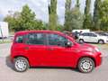 Fiat Panda PANDA ICON Rot - thumbnail 4