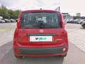 Fiat Panda PANDA ICON Rot - thumbnail 5
