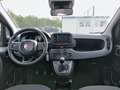 Fiat Panda PANDA ICON Rot - thumbnail 8