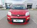 Fiat Panda PANDA ICON Rot - thumbnail 2