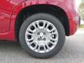 Fiat Panda PANDA ICON Rot - thumbnail 11