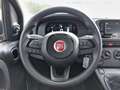 Fiat Panda PANDA ICON Rot - thumbnail 12