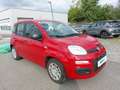 Fiat Panda PANDA ICON Rot - thumbnail 3