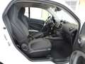 smart forTwo coupe EQ PASSION LED+Navi+SHZ+Kam.+KlimaA Blau - thumbnail 12