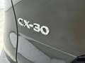 Mazda CX-30 2.0 e-SkyActiv-X M Hybrid Luxury | Trekhaak (1300k Negro - thumbnail 26