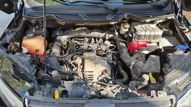 Ford Ecosport view 15