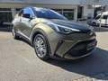 Toyota C-HR C- UORE Launch Edition Braun - thumbnail 9