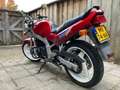 Suzuki GS 500 A2 motor Rood - thumbnail 10