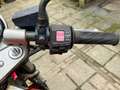 Suzuki GS 500 A2 motor Rood - thumbnail 14