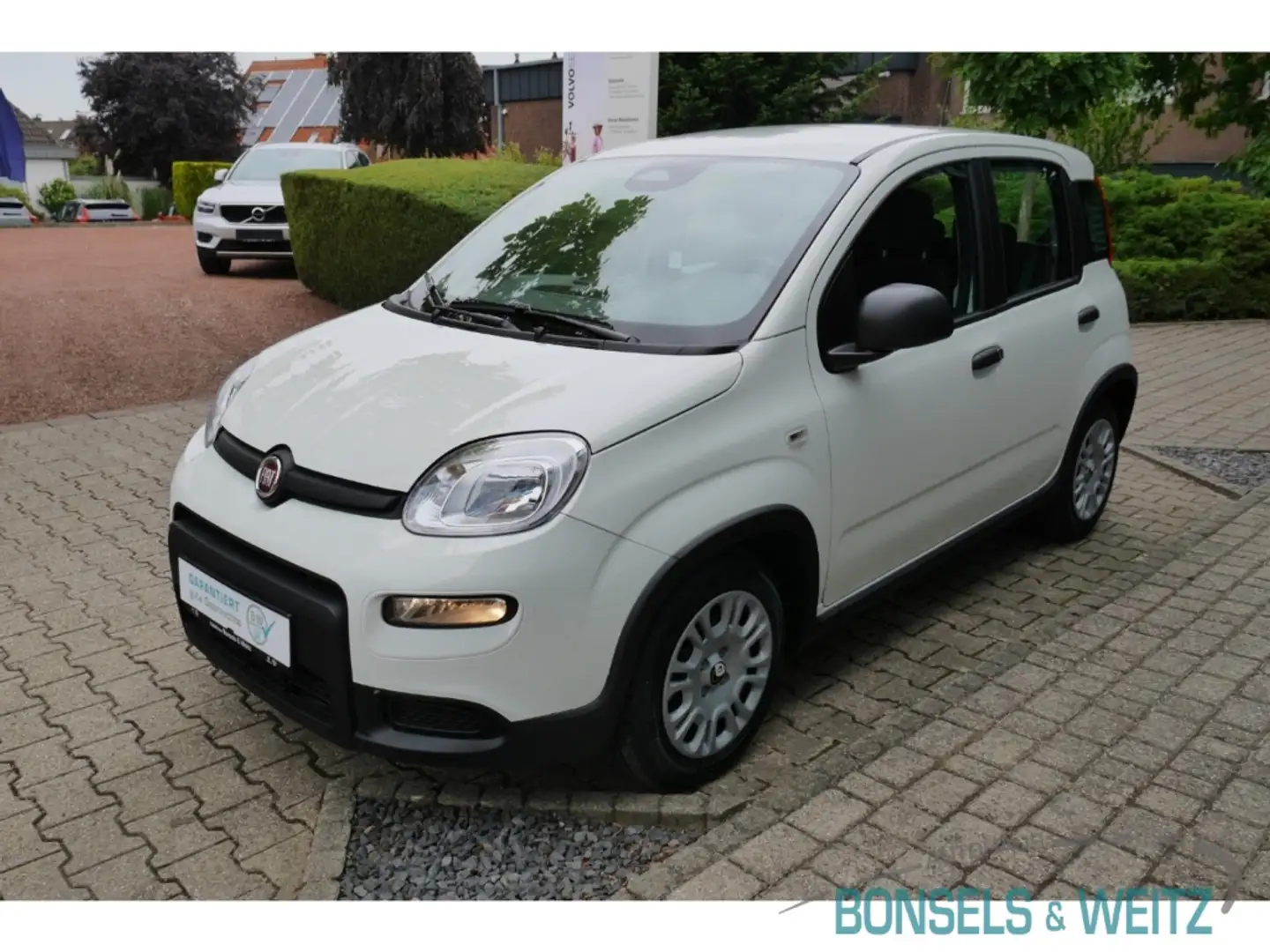 Fiat Panda Pandina Mild Hybrid EU6d 1.0 MILD HYBRID PANDINA D Blanc - 2
