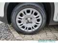 Fiat Panda Pandina Mild Hybrid EU6d 1.0 MILD HYBRID PANDINA D Blanc - thumbnail 15