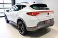 CUPRA Formentor 1.5 TSI DSG 4JGAR+AHK+FAXL+elHK+RÜKAM Klima Navi Weiß - thumbnail 2
