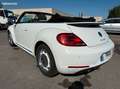 Volkswagen Coccinelle 1.6 tdi 105 vintage Wit - thumbnail 4