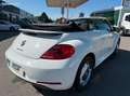 Volkswagen Coccinelle 1.6 tdi 105 vintage Wit - thumbnail 3