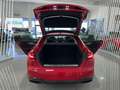 Audi A5 Sportback 40 TDI S line quattro S tronic Rojo - thumbnail 9