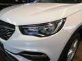 Opel Grandland X 1.2 Turbo Edition 2xKlima Alcant. LM - thumbnail 4