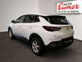 Opel Grandland X 1.2 Turbo Edition 2xKlima Alcant. LM - thumbnail 12