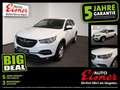 Opel Grandland X 1.2 Turbo Edition 2xKlima Alcant. LM - thumbnail 1
