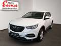 Opel Grandland X 1.2 Turbo Edition 2xKlima Alcant. LM - thumbnail 2