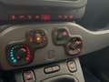 Fiat Panda Panda 1.0 firefly hybrid City Life * PREZZO VERO Bianco - thumbnail 14