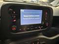 Fiat Panda Panda 1.0 firefly hybrid City Life * PREZZO VERO Bianco - thumbnail 13
