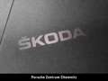 Skoda Octavia Combi*First Edition*Standheizung;Canton Grau - thumbnail 28