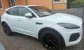 Jaguar E-Pace E-Pace P200 AWD R-Dynamic SE Weiß - thumbnail 4