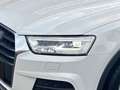 Audi Q3 2,0 TDI Intense quattro S-tronic |1.BESITZER| White - thumbnail 7