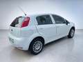 Fiat Punto Evo 1.2 Street 69cv Blanco - thumbnail 8
