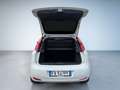 Fiat Punto Evo 1.2 Street 69cv Blanco - thumbnail 10