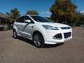 Ford Kuga Individual Automatik / Navi / Xenon Blanco - thumbnail 3
