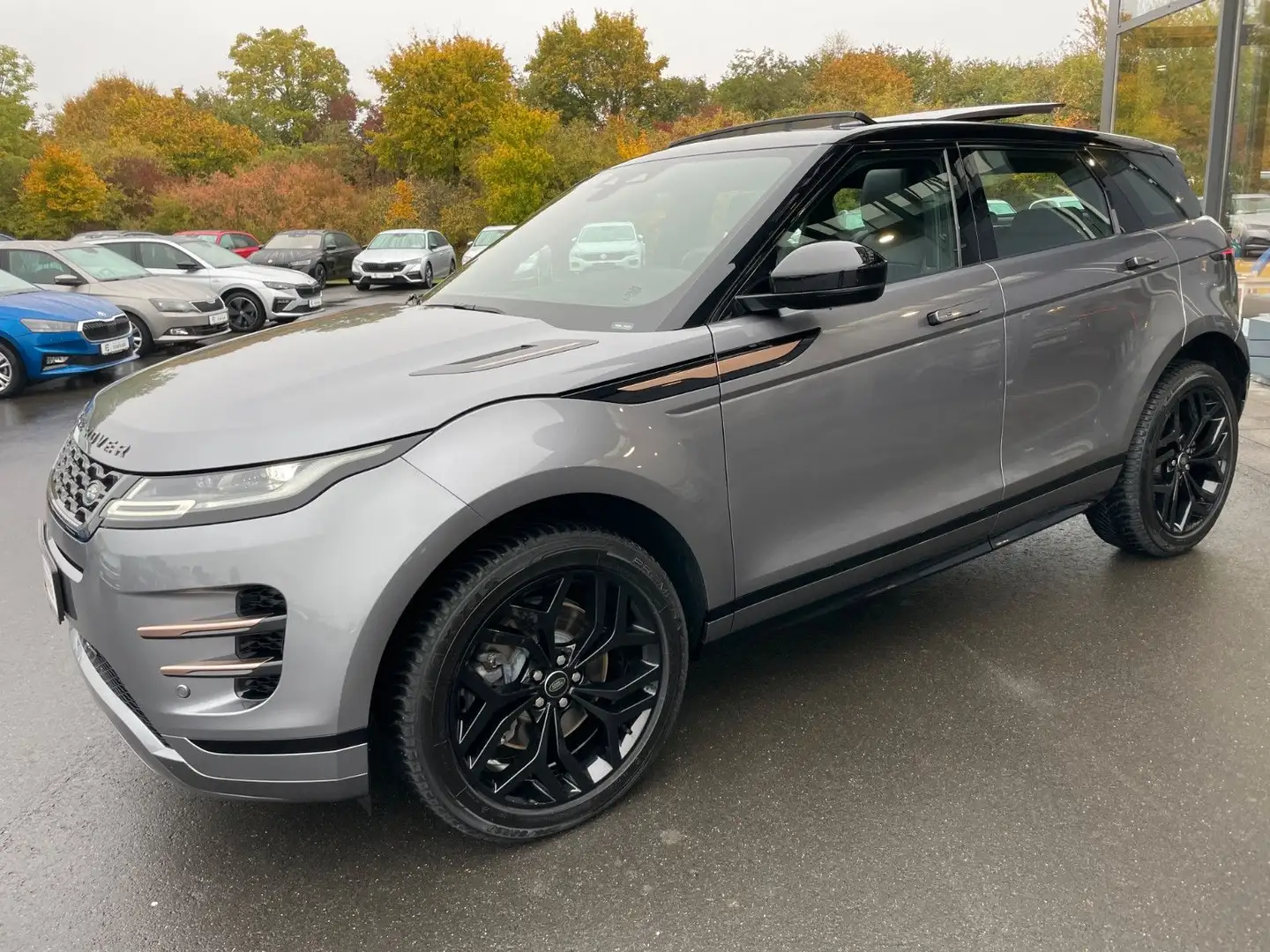 Land Rover Range Rover Evoque R-Dynamic Leder AHK Apple Grau - 1