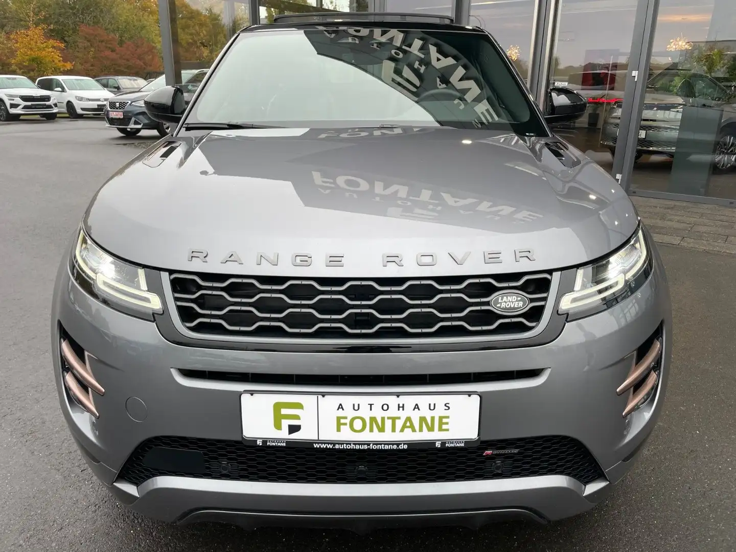 Land Rover Range Rover Evoque R-Dynamic Leder AHK Apple Grau - 2