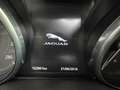 Jaguar F-Pace F-Pace 2.0d Portfolio awd 180cv Gri - thumbnail 14