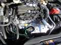 Ford Focus Focus 1.5 ecoblue Titanium Business 115cv auto Noir - thumbnail 48
