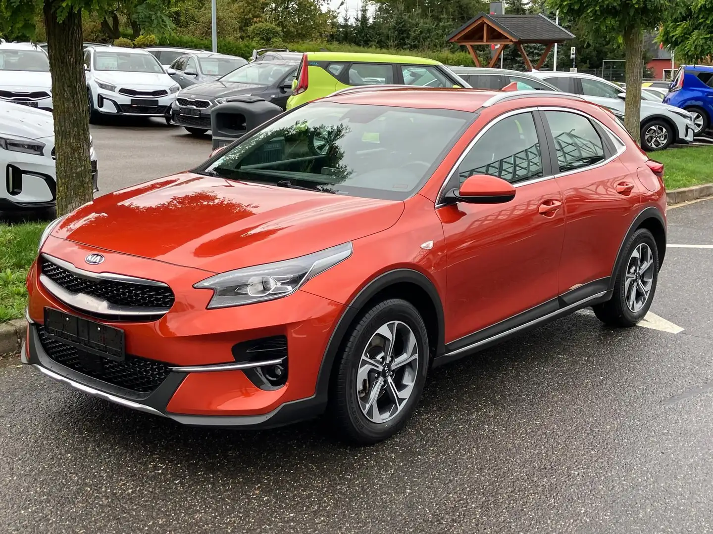 Kia XCeed 1.5 T-GDI Edition 7 SHZ|RFK|PDC Arancione - 2