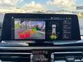 BMW X4 20D M SPORT LASER 20 KAMERA BLACK PACK TETTO Gris - thumbnail 17