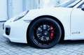 Porsche 991 911 Carrera 4 GTS Cabriolet | APPROVED Weiß - thumbnail 6