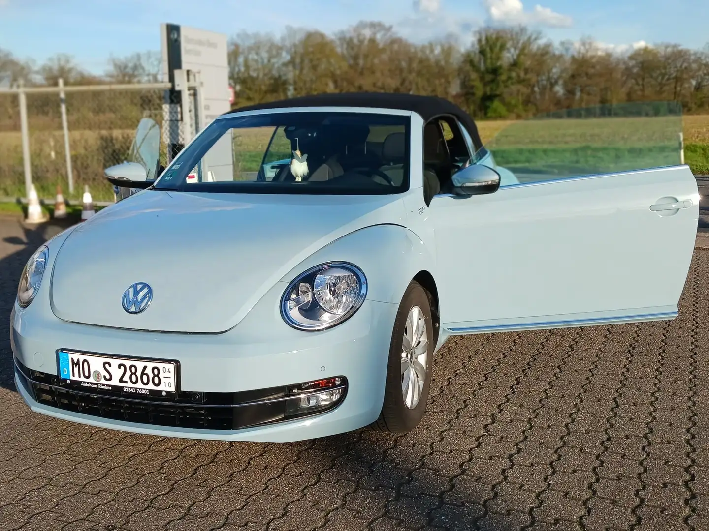 Volkswagen New Beetle Blue Motion - Technologie, umweltfreundlich plava - 2