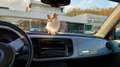 Volkswagen New Beetle Blue Motion - Technologie, umweltfreundlich plava - thumbnail 4