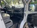 Hymercar HYMERCAR SYDNEY ED GT 60 WHITE Weiß - thumbnail 15