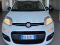 Fiat Panda 0.9 t.air t. natural power Lounge 70cv Weiß - thumbnail 1