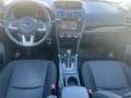 Subaru Forester Exclusive 20th Anniversary AWD 1Hand Grün - thumbnail 14