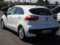 Kia Rio Rio 5p 1.1 crdi Active E6 Gris - thumbnail 4