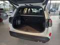 Subaru Forester 2.0 e-Boxer 150 CV Mild Hybrid Automatica 4dventu Bianco - thumbnail 11