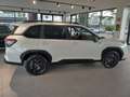 Subaru Forester 2.0 e-Boxer 150 CV Mild Hybrid Automatica 4dventu Bianco - thumbnail 3