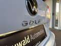 Volkswagen Golf Variant VIII Variant 1.5 TSI Life HUD/ACC/LED/SHZ/APP/NAV Weiß - thumbnail 15