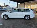 Volkswagen Golf Variant VIII Variant 1.5 TSI Life HUD/ACC/LED/SHZ/APP/NAV Weiß - thumbnail 2